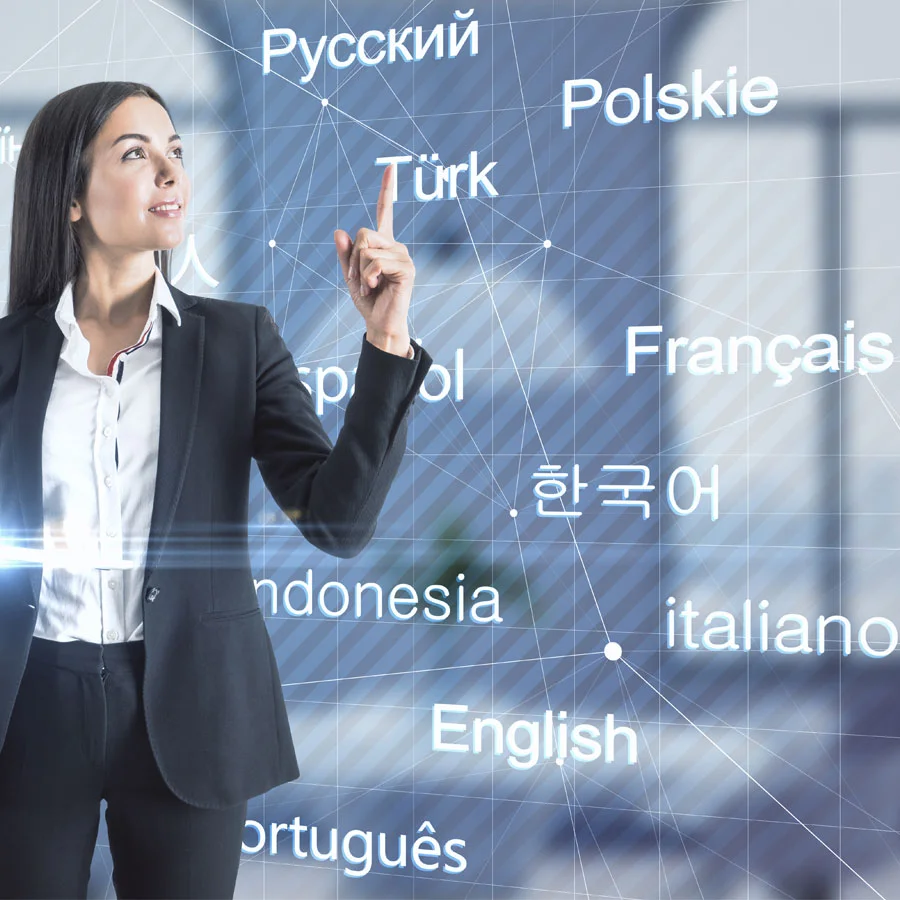 Illustration of standardized language proficiency testing